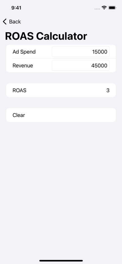 Return on Ad Spend Screenshot